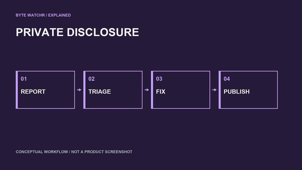 Private vulnerability reports proceed through triage, remediation and disclosure.