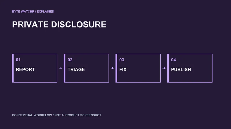Private vulnerability reports proceed through triage, remediation and disclosure.